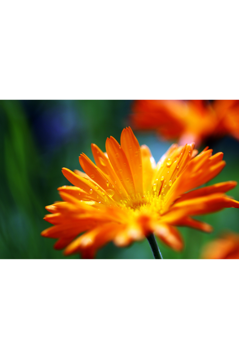 New Year’s Is Over, and So Are Your Resolutions. Now What?